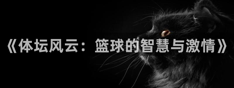 劲球体育视频：《体坛风云：篮球的智慧与激情》