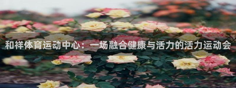 劲球体育免费直播NBA：和祥体育运动中心：一场融合健康与活力的活力运动会