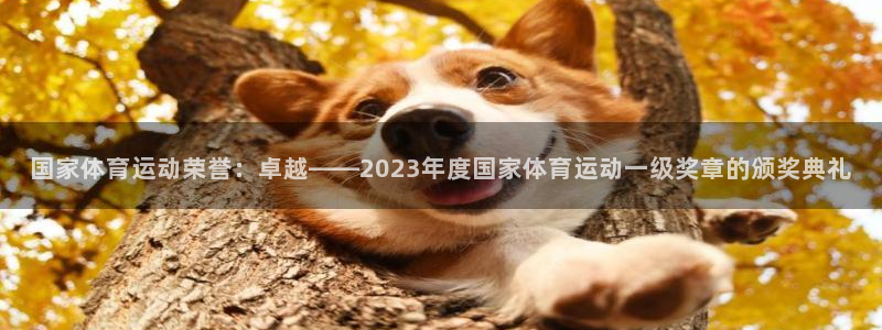 nba直播劲球体育：国家体育运动荣誉：卓越——2023年度国家体育运动一级奖章的颁奖典礼
