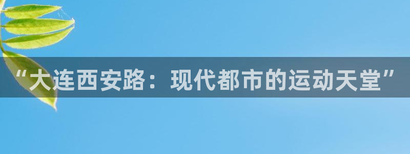 劲球体育免费观看高清中超：“大连西安路：现代都市的运动天堂”