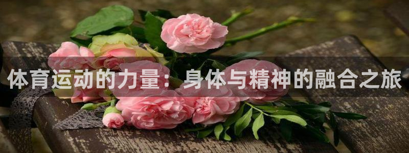 劲球体育视频：体育运动的力量：身体与精神的融合之旅