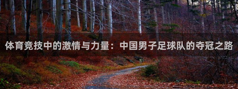 劲球体育nba直播入口：体育竞技中的激情与力量：中国男子足球队的夺冠之路