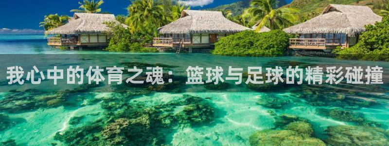 劲球体育免费直播NBA：我心中的体育之魂：篮球与足球的精彩碰撞