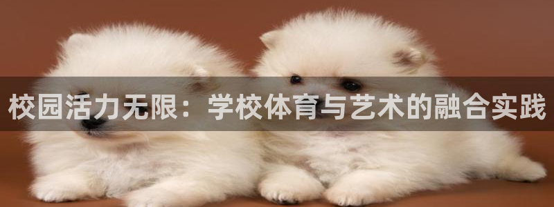劲球体育免费观看直播：校园活力无限：学校体育与艺术的融合实践